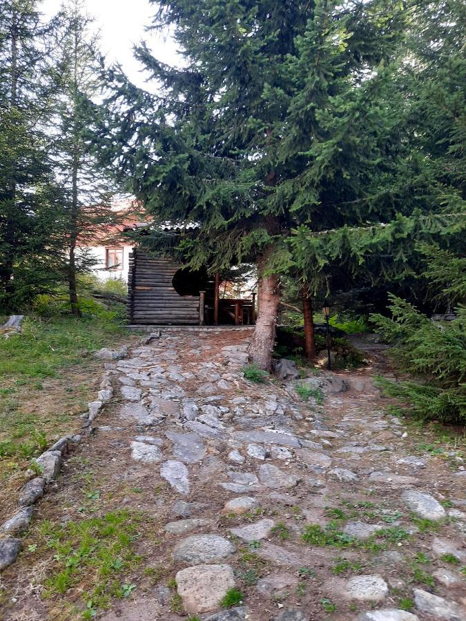 Луксозен Апартамент в Комплекс Маунтин Лейк: Смолянски Езера Exterior photo